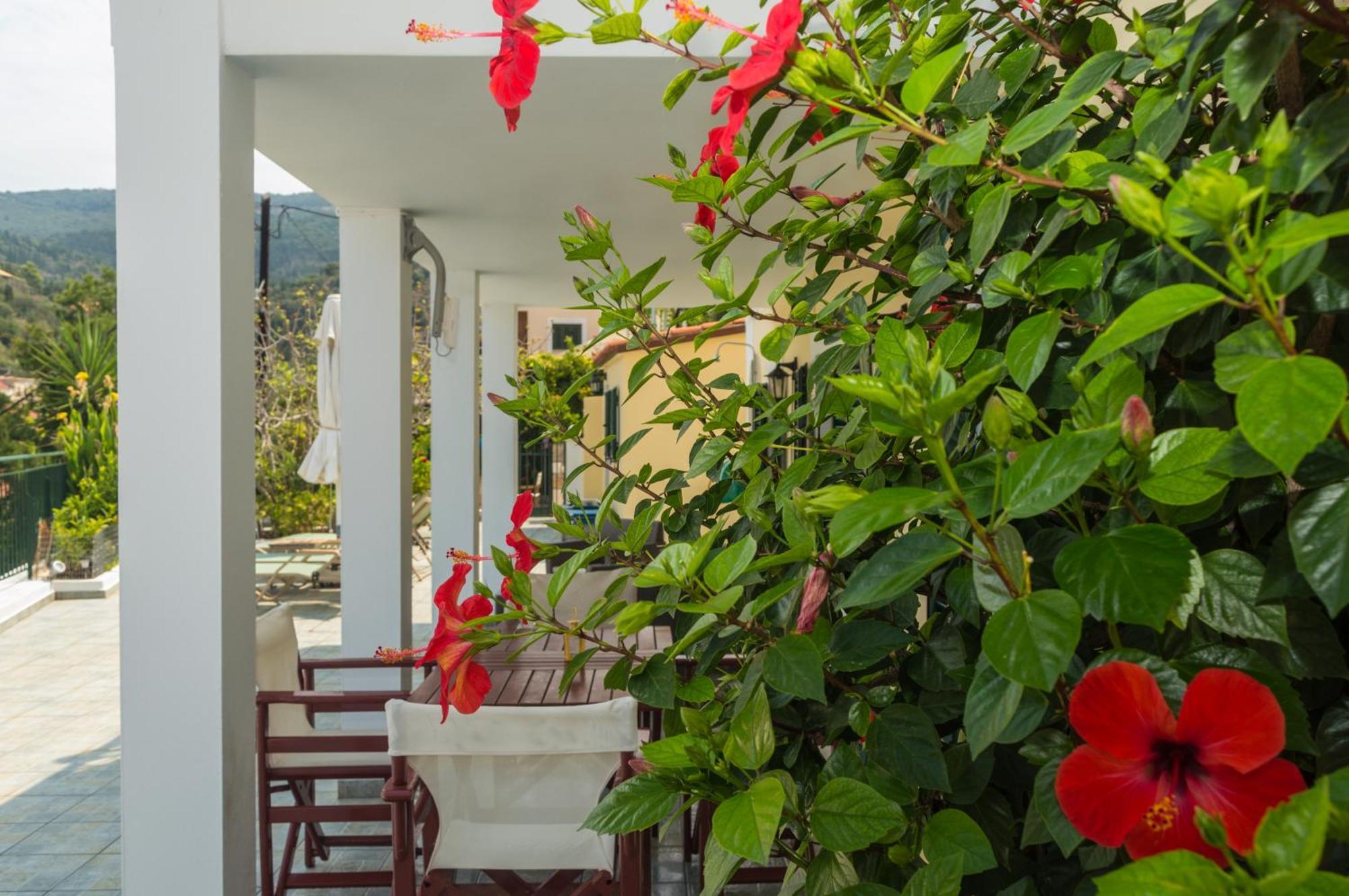 Dionos Villa Асос Экстерьер фото